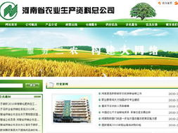 鄭州網(wǎng)站建設(shè)與制作服務(wù) 睿智軟件技術(shù)的專業(yè)網(wǎng)絡(luò)解決方案